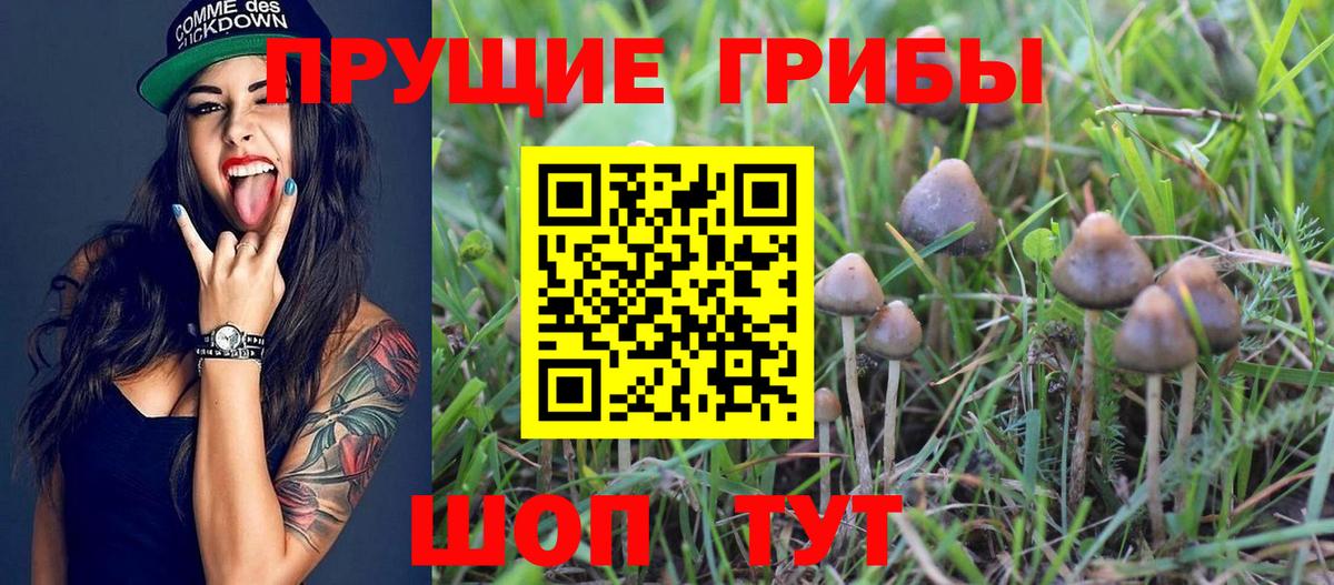 Псилоцибиновые грибы GOLDEN TEACHER Алушта
